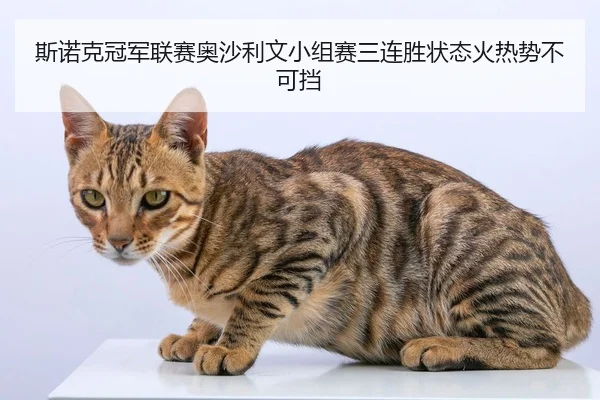 斯诺克冠军联赛奥沙利文小组赛三连胜状态火热势不可挡