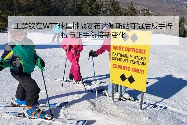 王楚钦在WTT球星挑战赛布达佩斯站夺冠后反手拧拉与正手衔接新变化